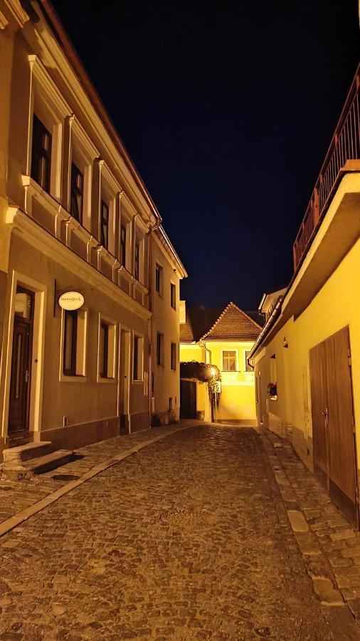 Penzion Harmonie Trhove Sviny Bagian luar foto